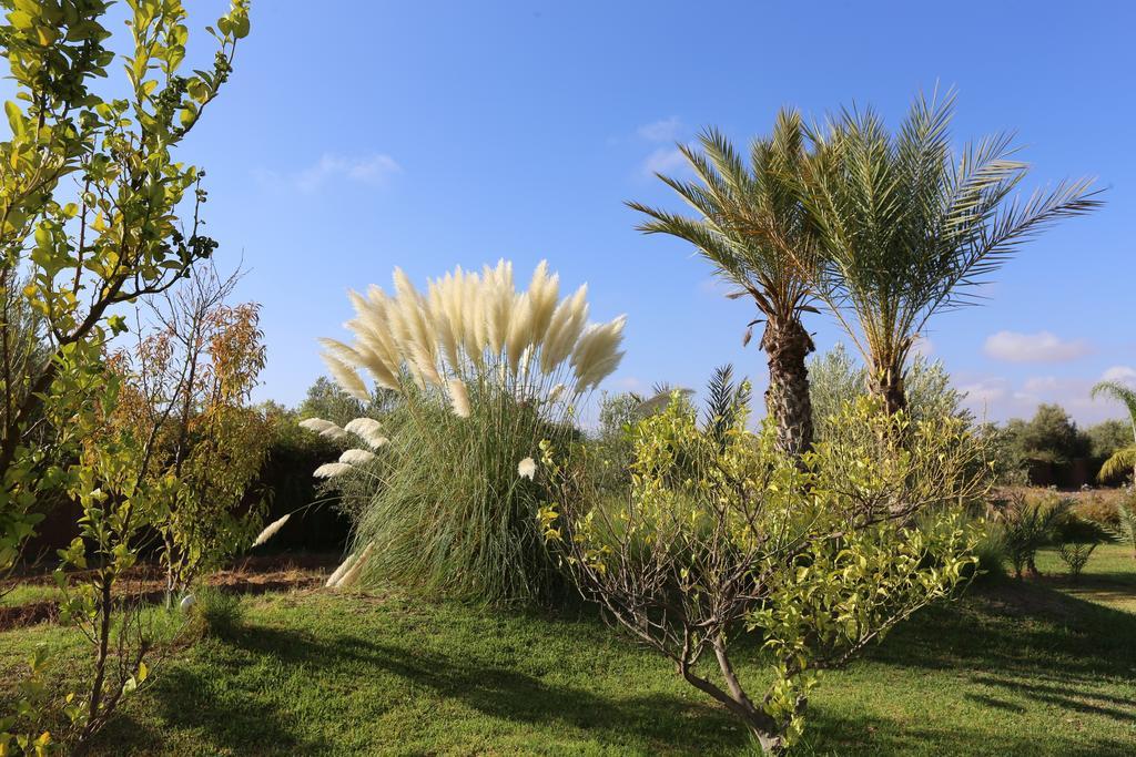Riad Al Mendili Private Resort & Spa Had Abdallah Rhiat Zewnętrze zdjęcie
