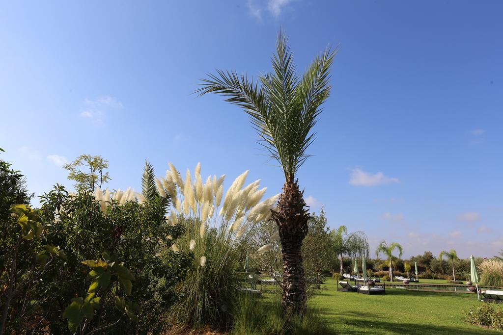 Riad Al Mendili Private Resort & Spa Had Abdallah Rhiat Zewnętrze zdjęcie