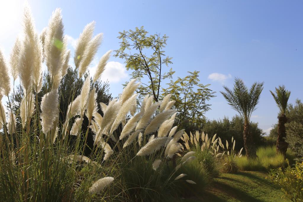 Riad Al Mendili Private Resort & Spa Had Abdallah Rhiat Zewnętrze zdjęcie